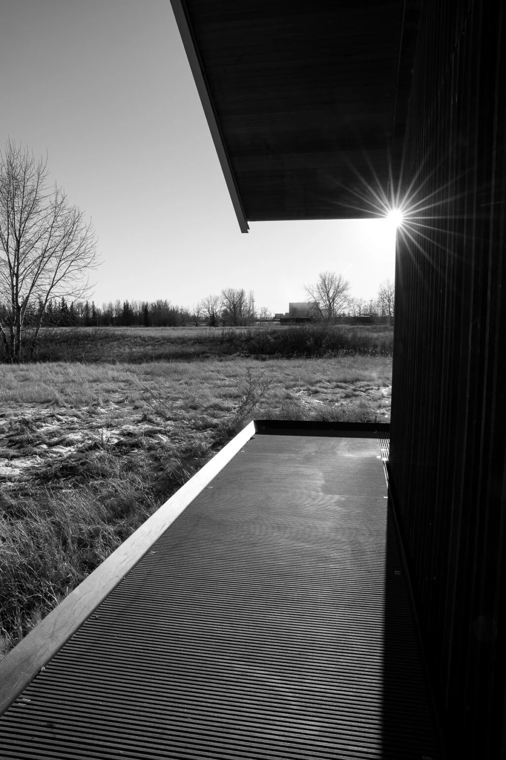 عکس سیاه و سفید با کنتراست بالا Sony a7 V