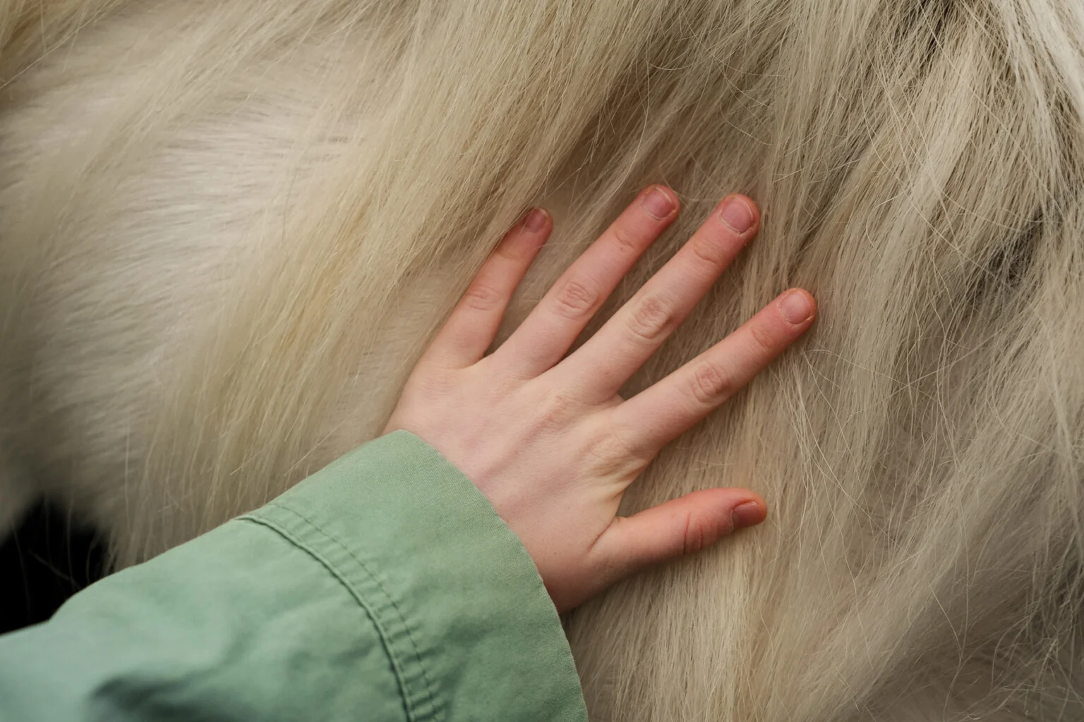 ثبت جزئیات مو با Sony a7 V