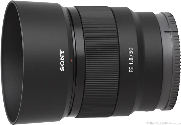 لنز سونی fe 50mm f/1.8 از نمای جانبی نزدیک با هود فابریک