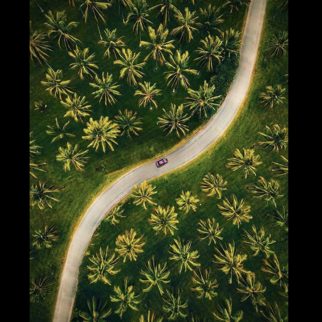 line of beauty in photography
