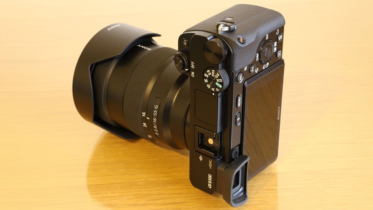 sony A6100
