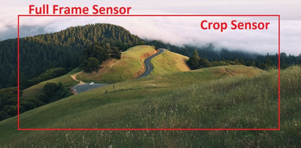 باورهای غلط درباره دوربین‌های فول فریم که باید بدانید!